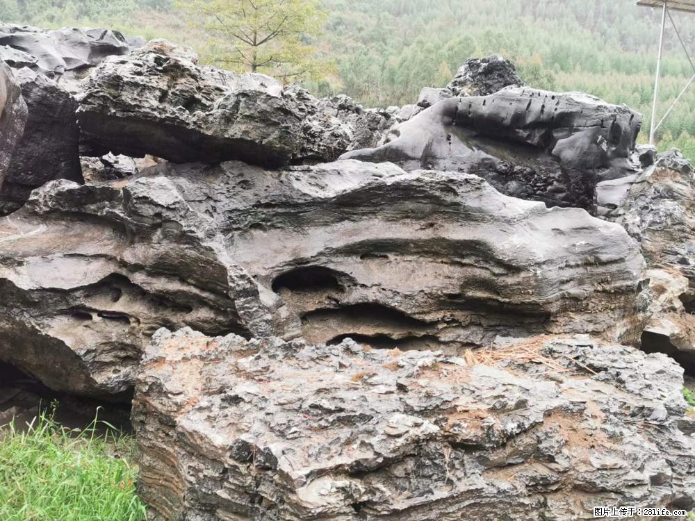 风景石、假山石大量有货，有需要的欢迎联系 - 新手上路 - 拉萨生活社区 - 拉萨28生活网 lasa.28life.com