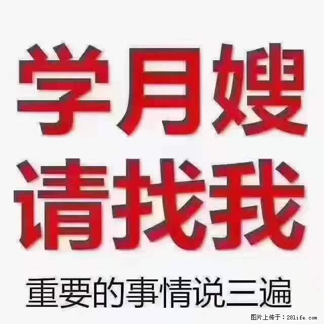 为什么要学习月嫂,育婴师? - 其他广告 - 广告专区 - 拉萨分类信息 - 拉萨28生活网 lasa.28life.com