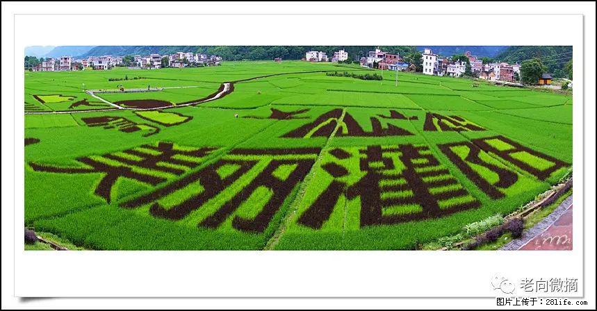 【春天,广西桂林灌阳县向您发出邀请!】开篇 - 游山玩水 - 拉萨生活社区 - 拉萨28生活网 lasa.28life.com