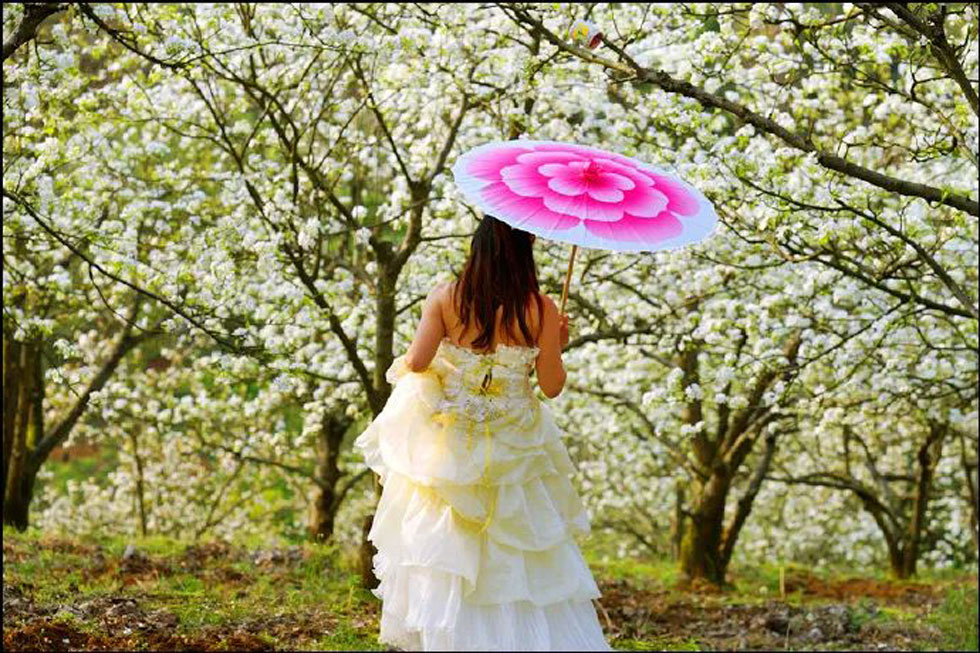 【春天,广西桂林灌阳县向您发出邀请!】我们在灌阳看梨花 - 游山玩水 - 拉萨生活社区 - 拉萨28生活网 lasa.28life.com