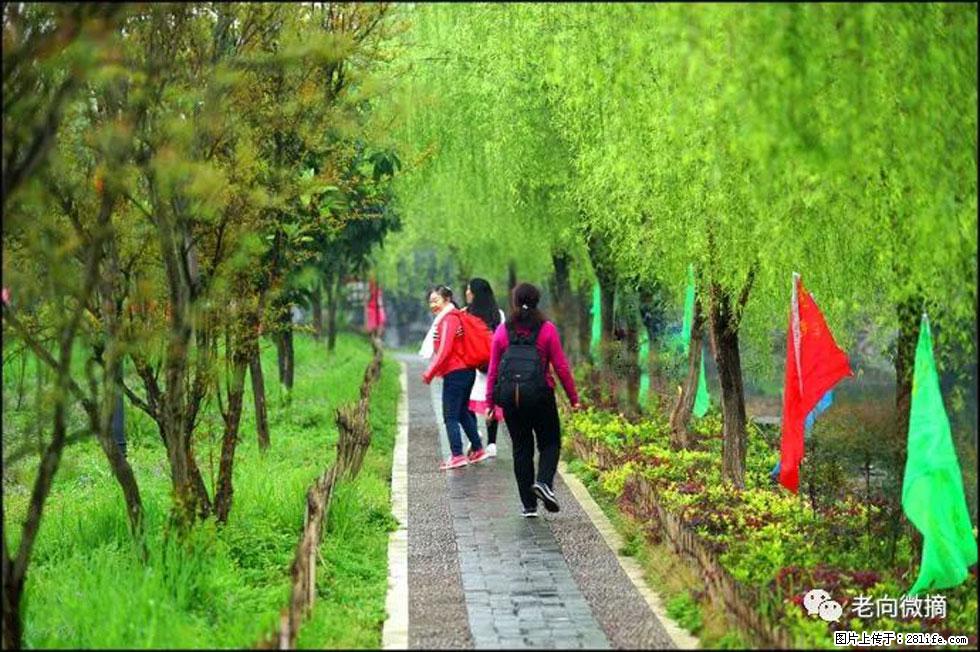 【春天，广西桂林灌阳县向您发出邀请！】江口老街又逢春 - 游山玩水 - 拉萨生活社区 - 拉萨28生活网 lasa.28life.com