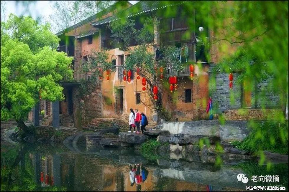 【春天，广西桂林灌阳县向您发出邀请！】江口老街又逢春 - 游山玩水 - 拉萨生活社区 - 拉萨28生活网 lasa.28life.com