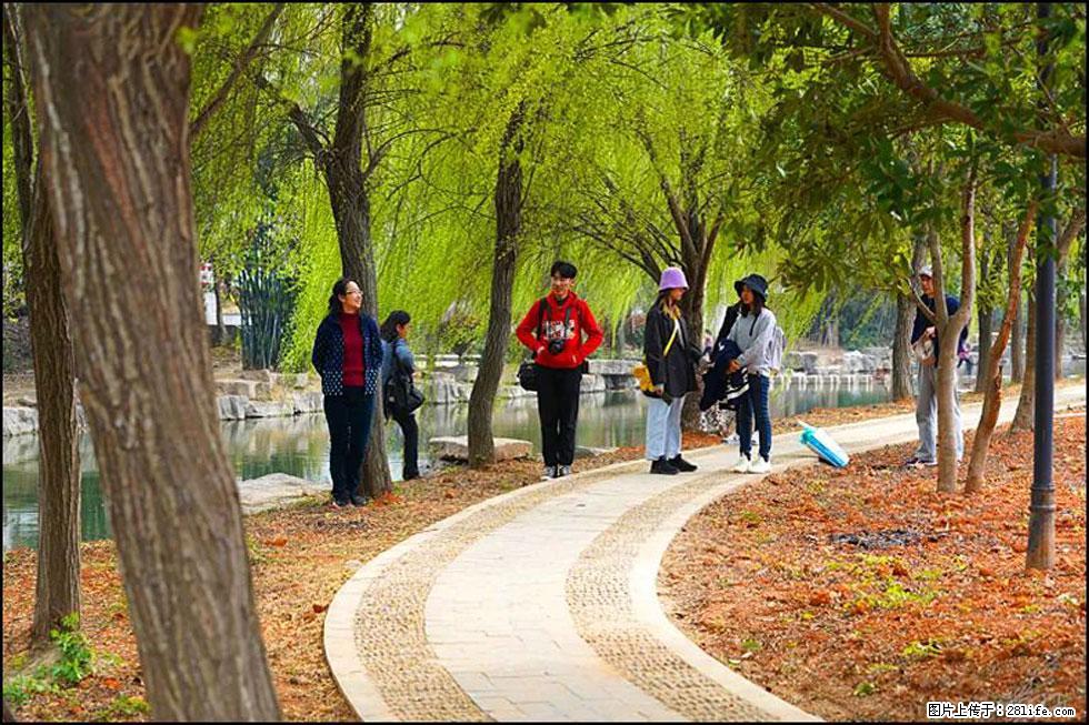 【春天，广西桂林灌阳县向您发出邀请！】江口老街又逢春 - 游山玩水 - 拉萨生活社区 - 拉萨28生活网 lasa.28life.com