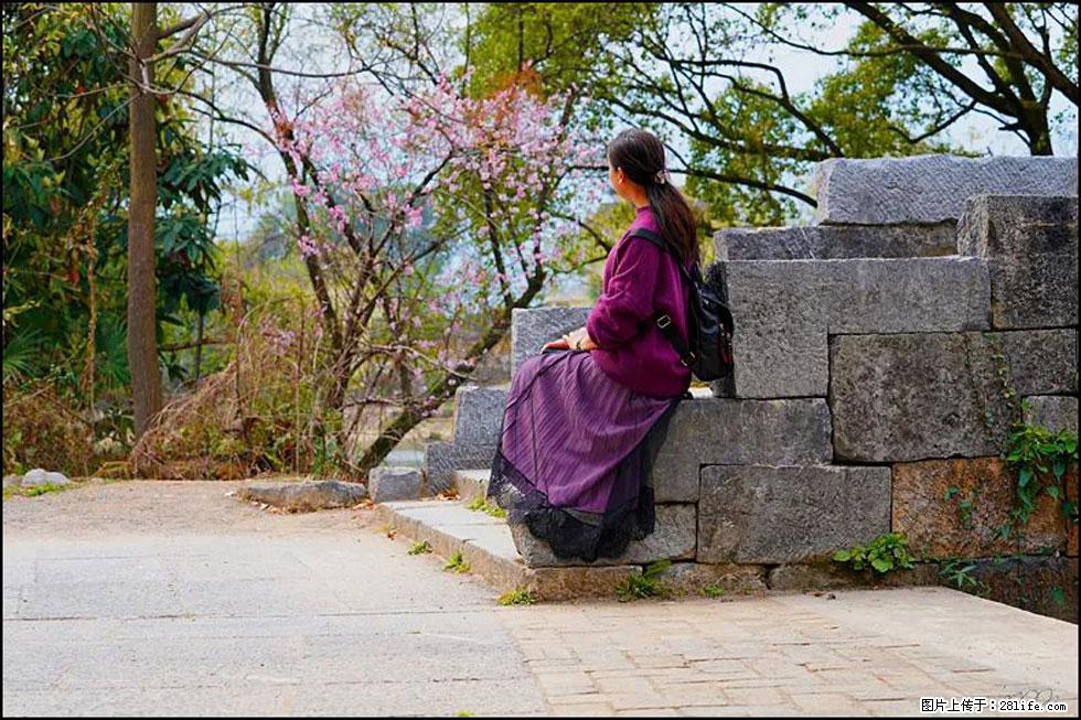 【春天，广西桂林灌阳县向您发出邀请！】江口老街又逢春 - 游山玩水 - 拉萨生活社区 - 拉萨28生活网 lasa.28life.com