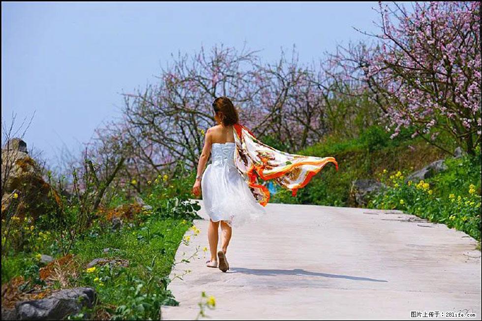 【春天,广西桂林灌阳县向您发出邀请!】望月岭上桃花开 - 游山玩水 - 拉萨生活社区 - 拉萨28生活网 lasa.28life.com