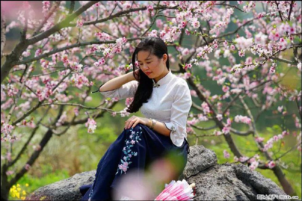 【春天,广西桂林灌阳县向您发出邀请!】望月岭上桃花开 - 游山玩水 - 拉萨生活社区 - 拉萨28生活网 lasa.28life.com