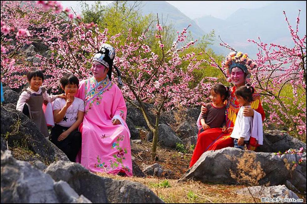 【春天,广西桂林灌阳县向您发出邀请!】望月岭上桃花开 - 游山玩水 - 拉萨生活社区 - 拉萨28生活网 lasa.28life.com