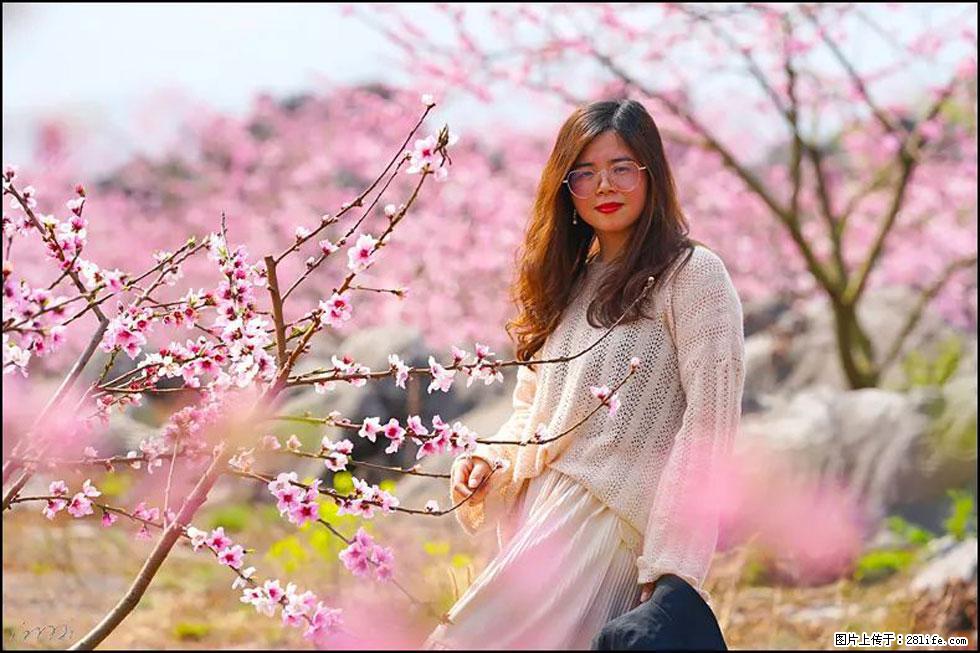 【春天,广西桂林灌阳县向您发出邀请!】望月岭上桃花开 - 游山玩水 - 拉萨生活社区 - 拉萨28生活网 lasa.28life.com