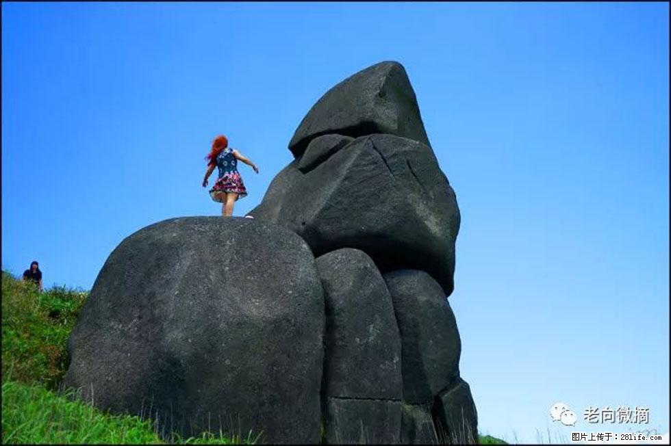 【春天,广西桂林灌阳县向您发出邀请!】宝盖山上映山红 - 游山玩水 - 拉萨生活社区 - 拉萨28生活网 lasa.28life.com