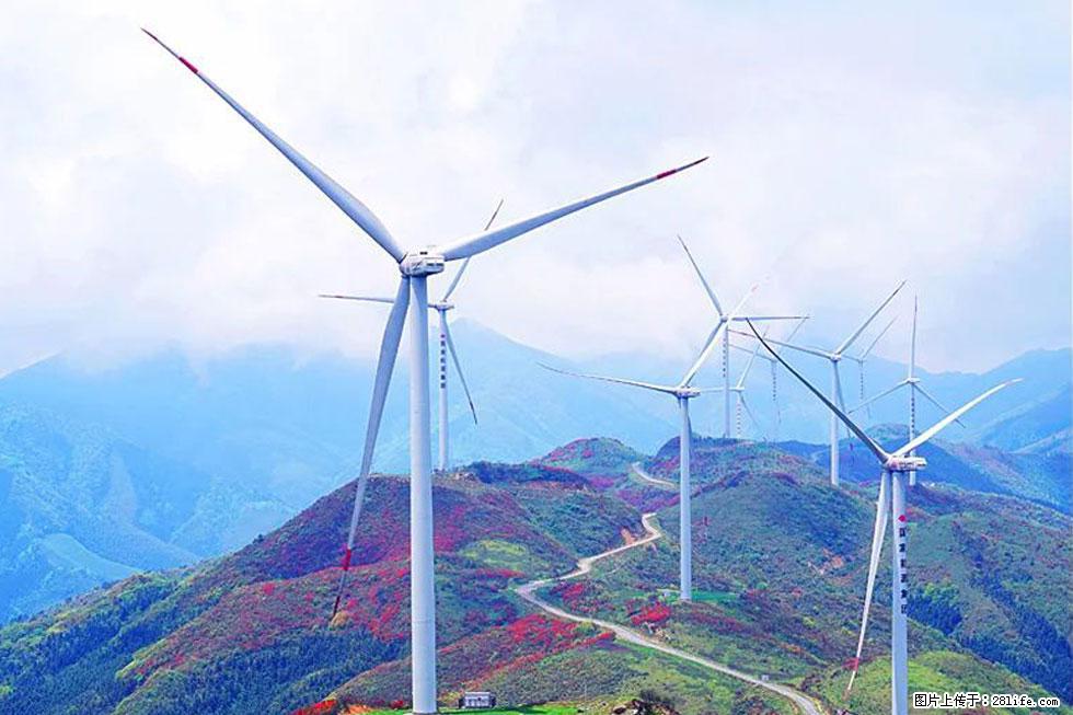 【春天,广西桂林灌阳县向您发出邀请!】春木界上映山红 - 游山玩水 - 拉萨生活社区 - 拉萨28生活网 lasa.28life.com