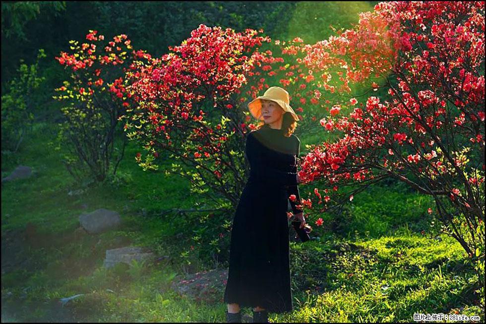 【春天,广西桂林灌阳县向您发出邀请!】春木界上映山红 - 游山玩水 - 拉萨生活社区 - 拉萨28生活网 lasa.28life.com