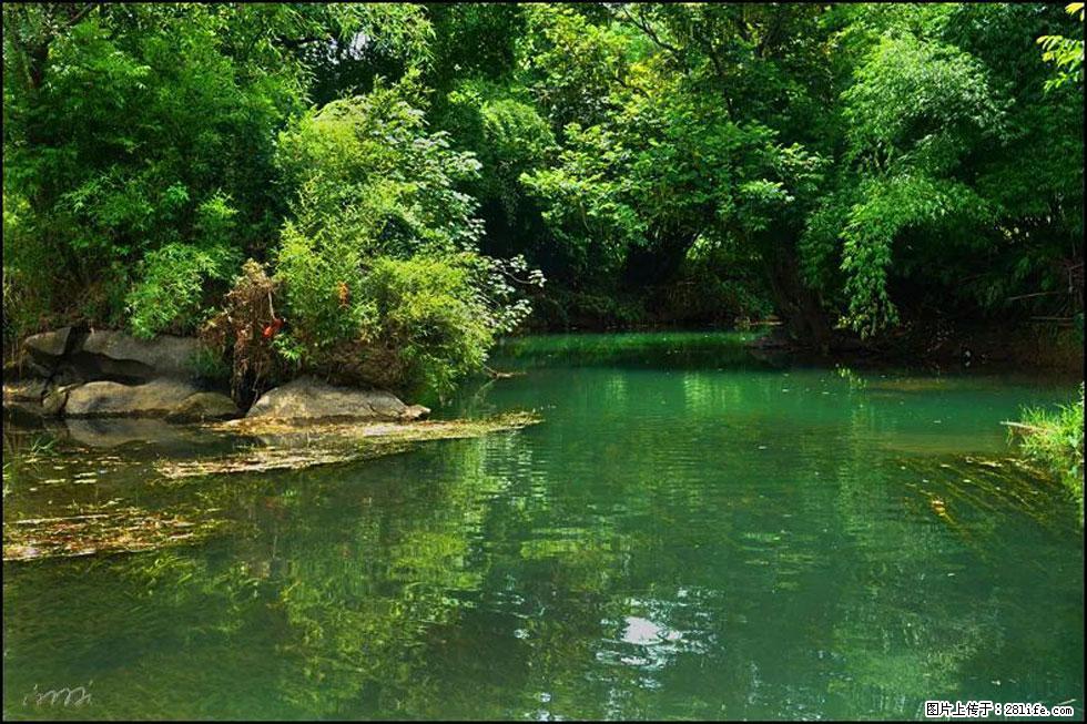 【春天,广西桂林灌阳县向您发出邀请!】如梦似幻莲溪庐 - 游山玩水 - 拉萨生活社区 - 拉萨28生活网 lasa.28life.com