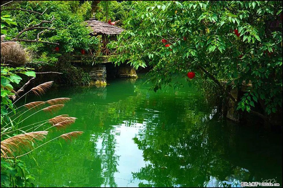 【春天,广西桂林灌阳县向您发出邀请!】如梦似幻莲溪庐 - 游山玩水 - 拉萨生活社区 - 拉萨28生活网 lasa.28life.com