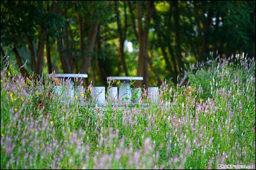 【春天,广西桂林灌阳县向您发出邀请!】熊家寨湿地公园 - 游山玩水 - 拉萨生活社区 - 拉萨28生活网 lasa.28life.com