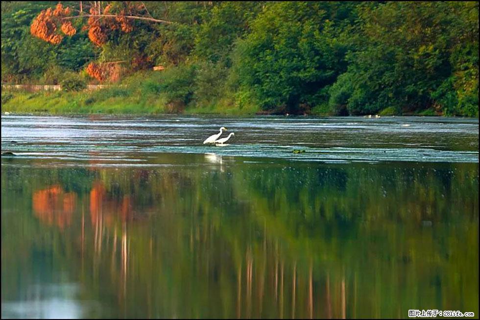 【春天,广西桂林灌阳县向您发出邀请!】熊家寨湿地公园 - 游山玩水 - 拉萨生活社区 - 拉萨28生活网 lasa.28life.com
