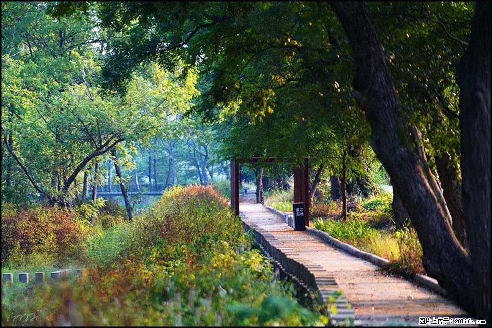 【春天,广西桂林灌阳县向您发出邀请!】熊家寨湿地公园 - 游山玩水 - 拉萨生活社区 - 拉萨28生活网 lasa.28life.com