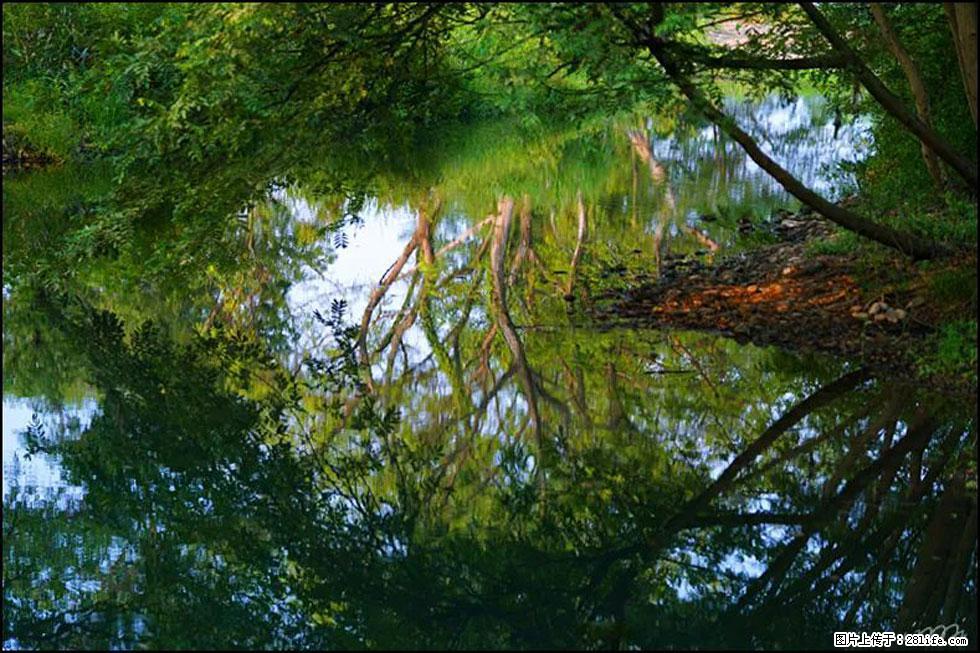 【春天,广西桂林灌阳县向您发出邀请!】熊家寨湿地公园 - 游山玩水 - 拉萨生活社区 - 拉萨28生活网 lasa.28life.com