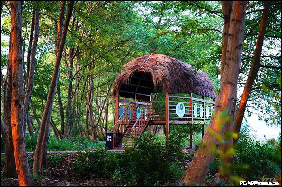 【春天,广西桂林灌阳县向您发出邀请!】熊家寨湿地公园 - 游山玩水 - 拉萨生活社区 - 拉萨28生活网 lasa.28life.com