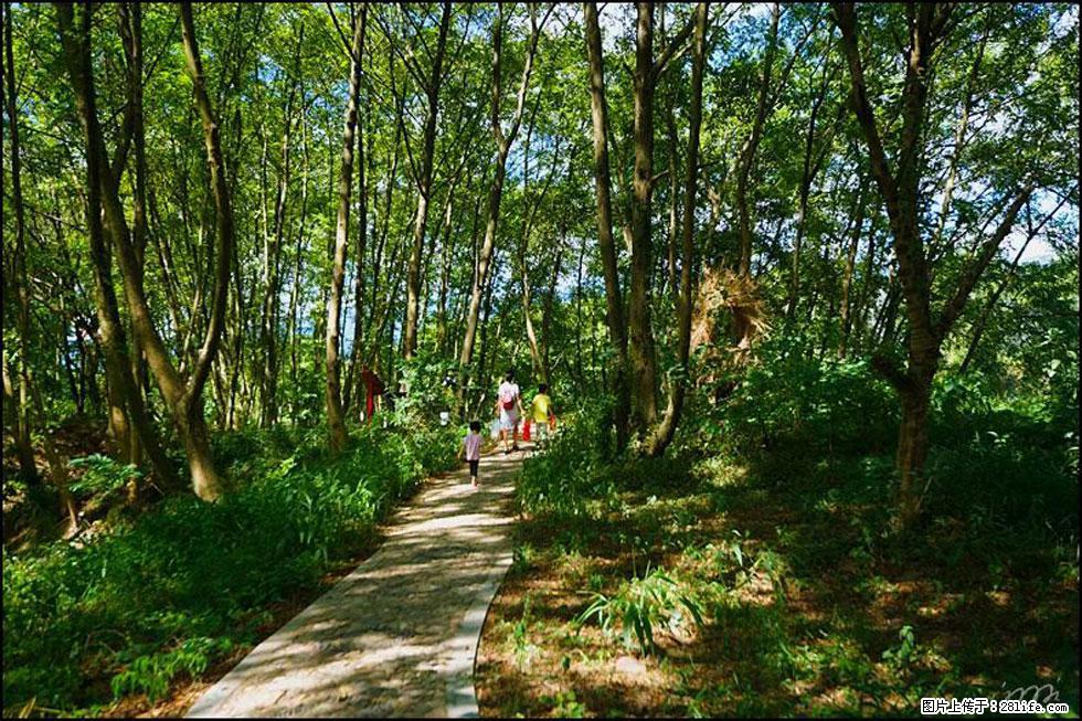 【春天,广西桂林灌阳县向您发出邀请!】熊家寨湿地公园 - 游山玩水 - 拉萨生活社区 - 拉萨28生活网 lasa.28life.com