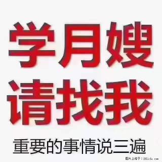 为什么要学习月嫂，育婴师？ - 拉萨28生活网 lasa.28life.com