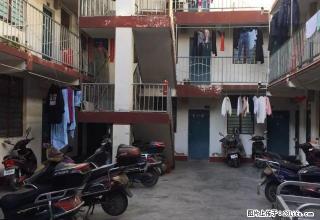 统建社区三层单身公寓（48套单间整体出租）年付50万 - 拉萨28生活网 lasa.28life.com