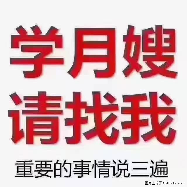 【招聘】月嫂,上海徐汇区 - 职场交流 - 拉萨生活社区 - 拉萨28生活网 lasa.28life.com