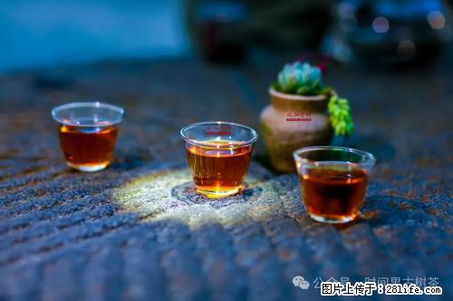 时间果百年古树2025年春红茶 - 购物交流 - 拉萨生活社区 - 拉萨28生活网 lasa.28life.com