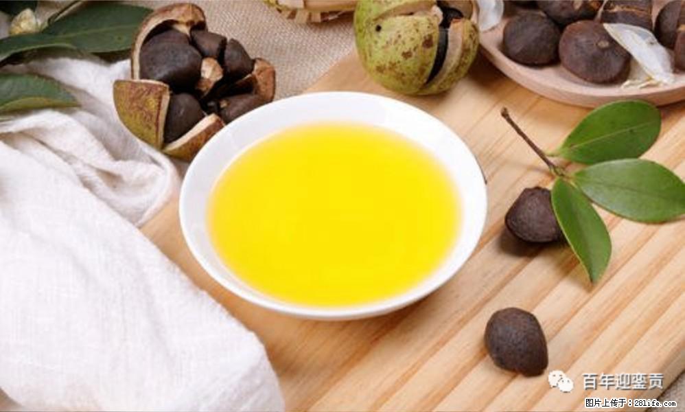 揭秘茶油的5大核心营养成分！被称为人体健康的“守护盾”！ - 拉萨生活资讯 - 拉萨28生活网 lasa.28life.com