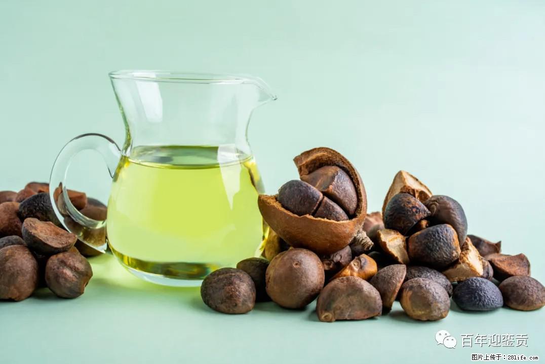 世界没有真相，只有认知，最好的食用油是中国的山茶油！ - 拉萨生活资讯 - 拉萨28生活网 lasa.28life.com