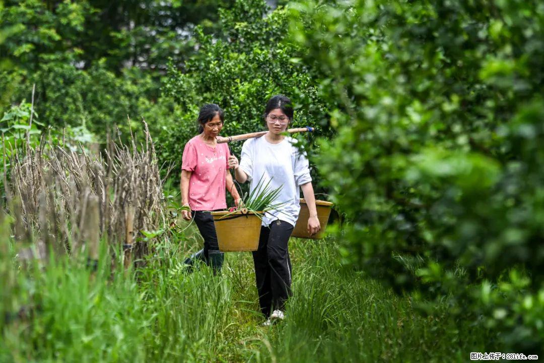 全网追的“扁担女孩”，找了一份暑假工，时薪12元 - 拉萨生活资讯 - 拉萨28生活网 lasa.28life.com