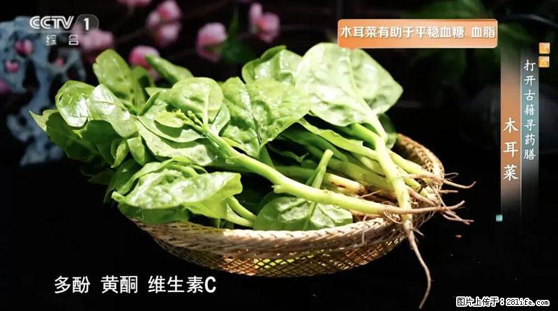 比牛奶补钙还厉害!凉血解毒、稳血糖...这菜冬天必吃,很多人却当草 - 拉萨生活资讯 - 拉萨28生活网 lasa.28life.com