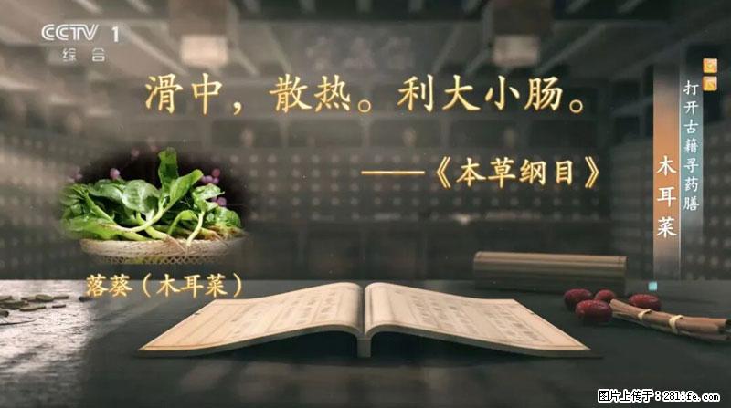 比牛奶补钙还厉害!凉血解毒、稳血糖...这菜冬天必吃,很多人却当草 - 拉萨生活资讯 - 拉萨28生活网 lasa.28life.com