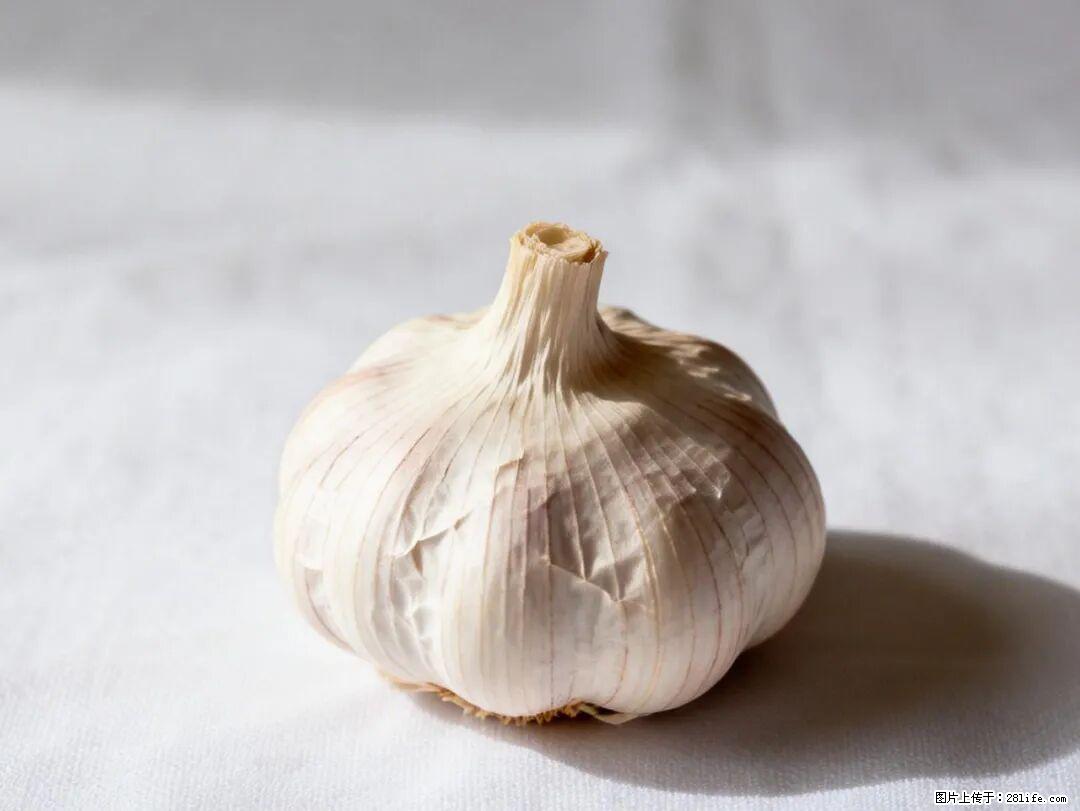 关于大蒜，除了“天然抗生素”，这4个谣言更该警惕! - 拉萨生活资讯 - 拉萨28生活网 lasa.28life.com