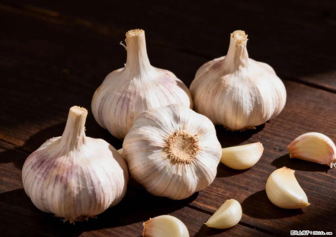 关于大蒜，除了“天然抗生素”，这4个谣言更该警惕! - 拉萨生活资讯 - 拉萨28生活网 lasa.28life.com