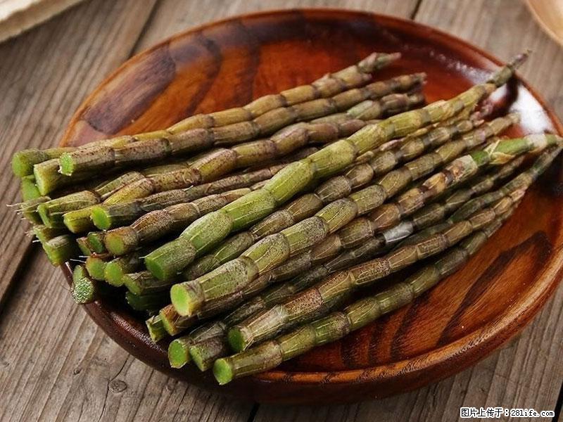 铁皮石斛的作用与功能主治 - 拉萨生活资讯 - 拉萨28生活网 lasa.28life.com